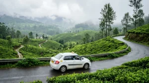 White taxi driving through Munnar tea plantations from Kochi